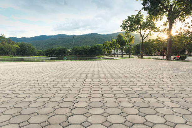Best Best Driveway Pavers  in Lake Jackson, TX